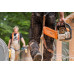 STIHL MS 261