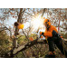 STIHL MS 151 TC-E